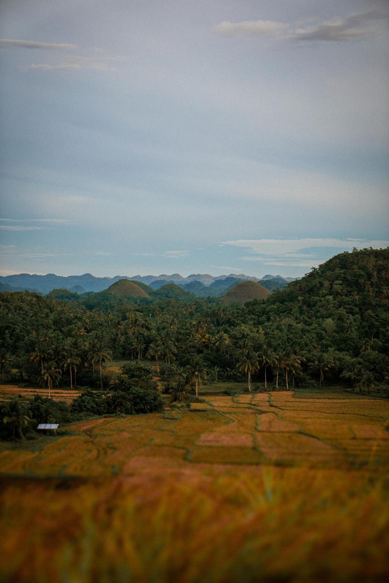 Casa Aguelo Chocolate Hills Bed & Breakfast Carmen  Ngoại thất bức ảnh